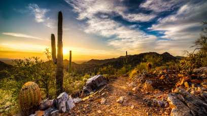 Image of the Arizona desert