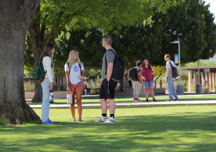 Three MCC students standing outside under a tree with three additional students in the background.